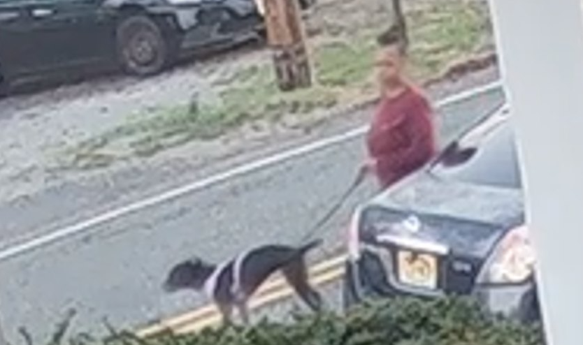 State police seek public’s help identifying person who abandoned dog in ...